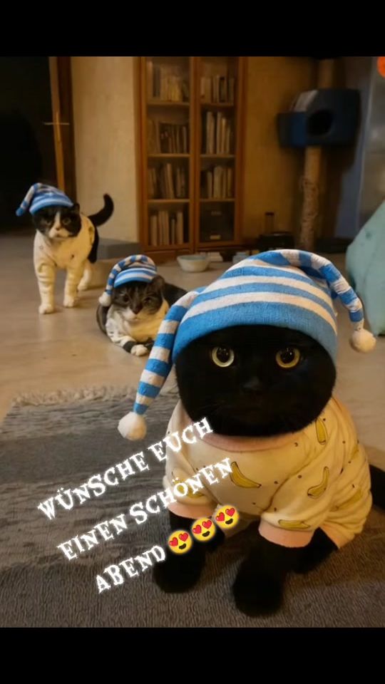 TikTok video thumbnail by karizmaa51