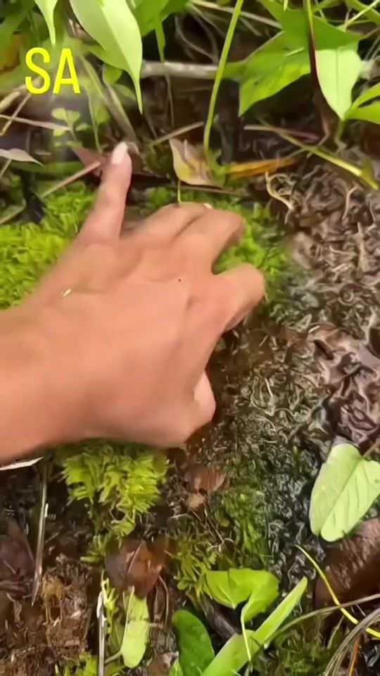 TikTok video thumbnail by rahim.dial
