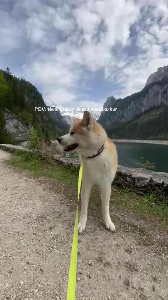 TikTok video thumbnail by agniote
