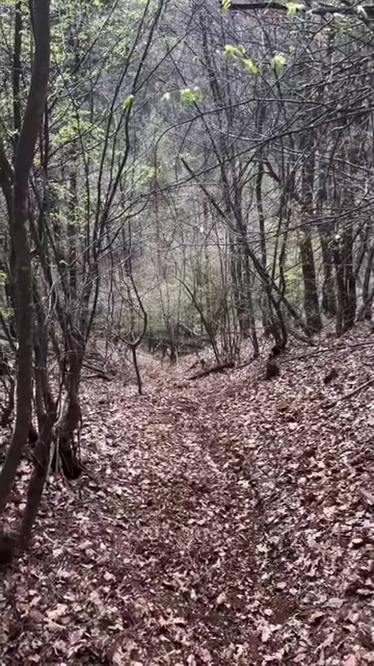 TikTok video thumbnail by gunaiwe
