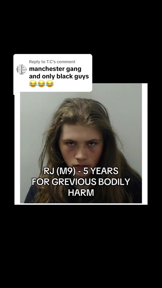 TikTok video thumbnail by piegonboymcr