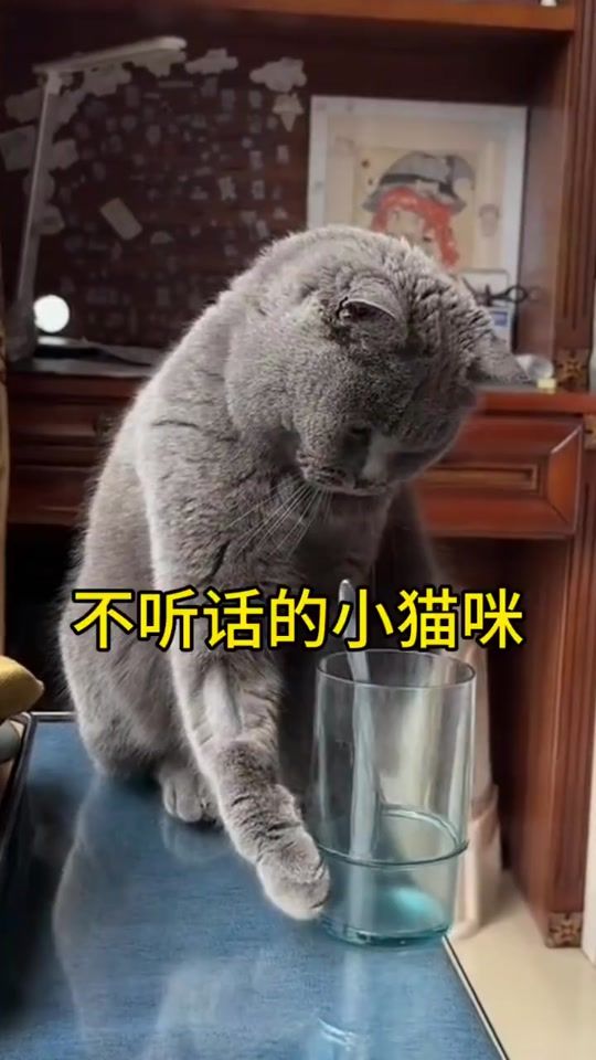 TikTok video thumbnail by hamxu_k