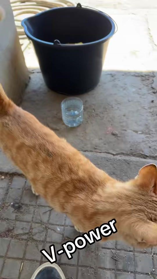 TikTok video thumbnail by hristovv.2