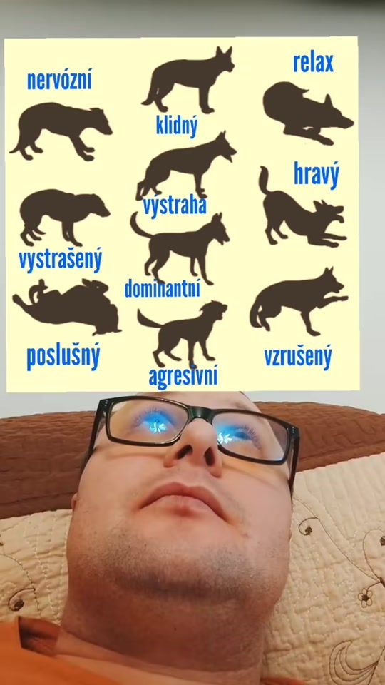 TikTok video thumbnail by bebackinaminute