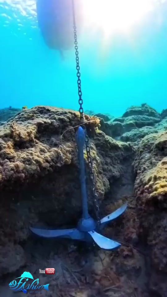 TikTok video thumbnail by fishingarthellas