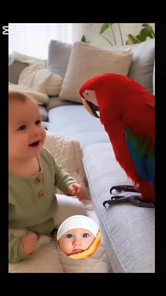 TikTok video thumbnail by myuz638