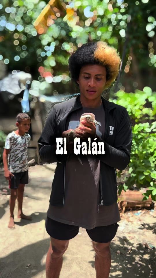 TikTok video thumbnail by juampaytarzan