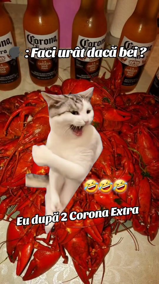 TikTok video thumbnail by .stela97