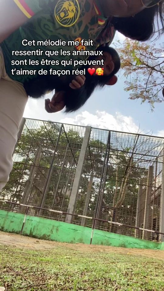 TikTok video thumbnail by marieg301