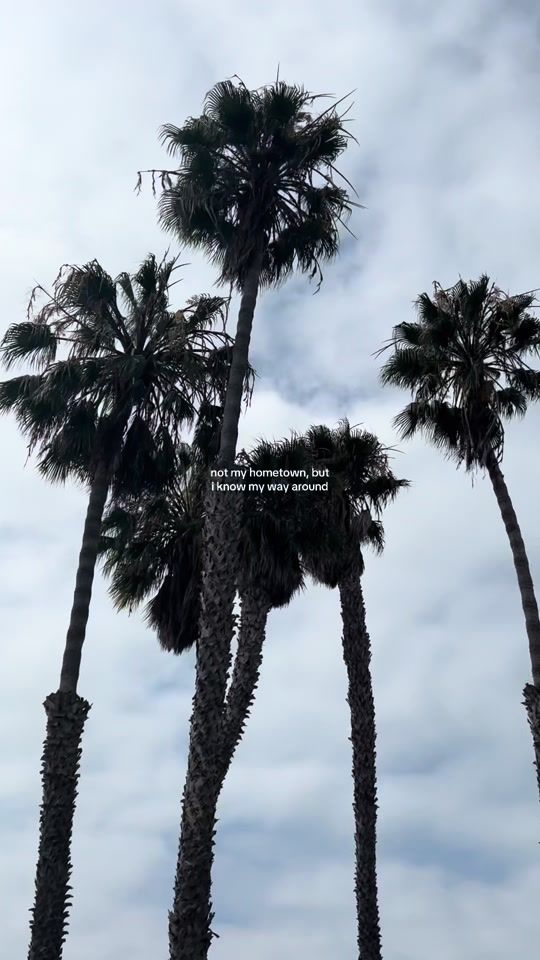 TikTok video thumbnail by lacelovr