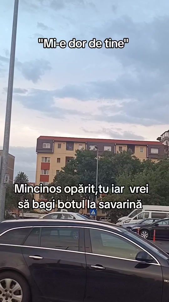 TikTok video thumbnail by anamariaanyluca