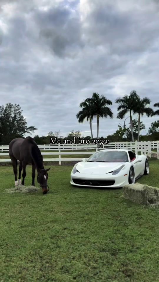 TikTok video thumbnail by luxury.live27