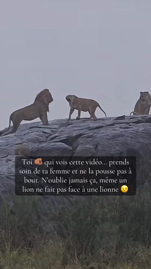 TikTok video thumbnail by fika.travelvibes
