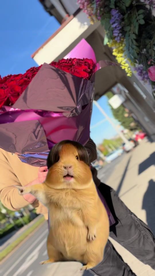 TikTok video thumbnail by ruzemichael