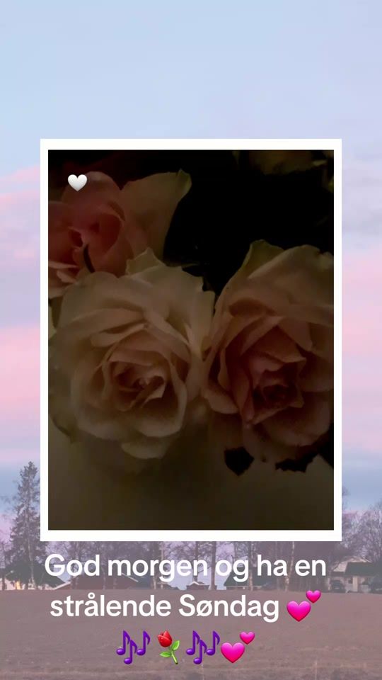 TikTok video thumbnail by skogsteollet