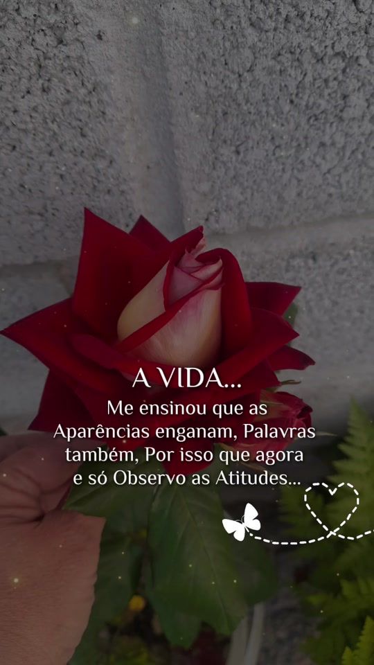 TikTok video thumbnail by paula.anjos14