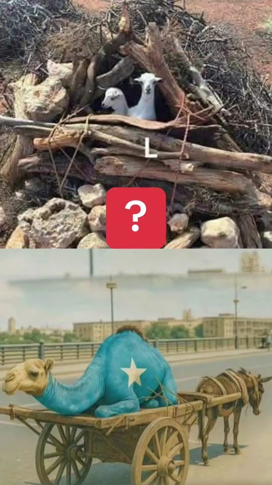 TikTok video thumbnail by ikhlaaschannel