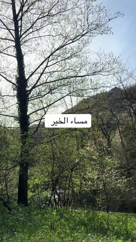 TikTok video thumbnail by algeria.it