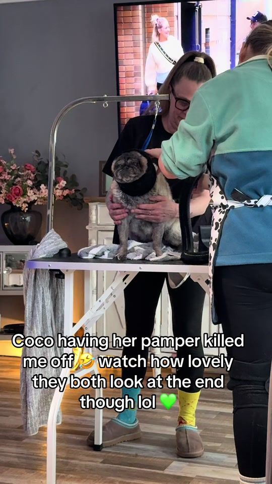 TikTok video thumbnail by iiiiamgracie
