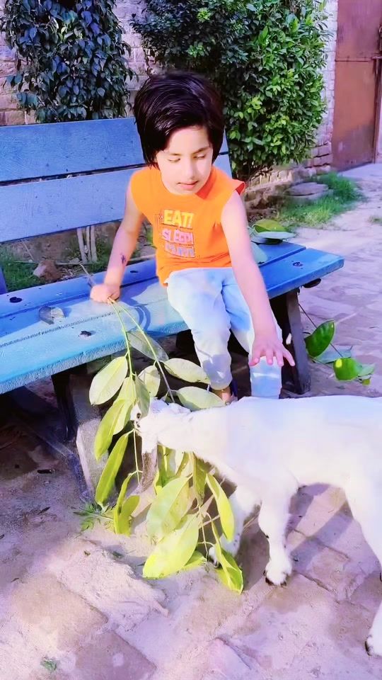 TikTok video thumbnail by minsasaimomer4