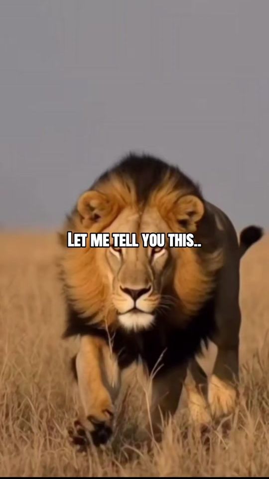 TikTok video thumbnail by mentalhealth_lions_