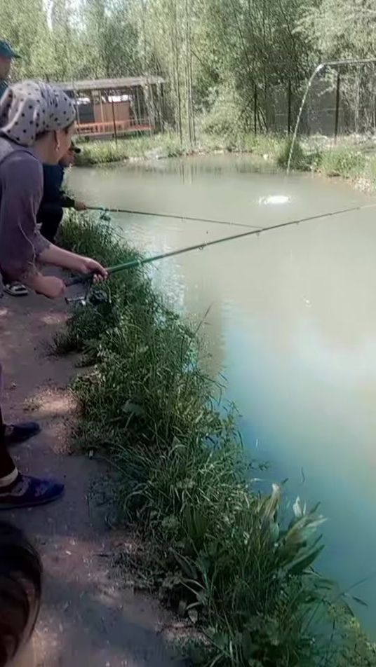 TikTok video thumbnail by user450778461160