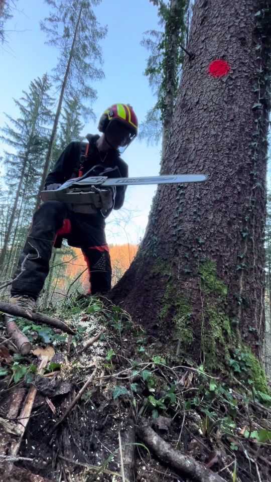 TikTok video thumbnail by severin_burg