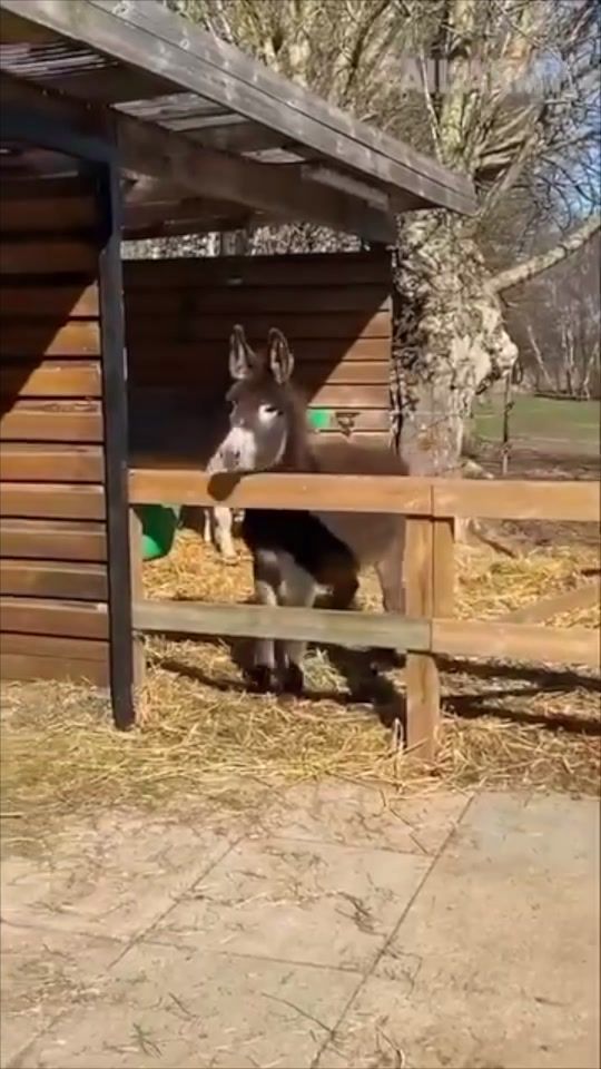 TikTok video thumbnail by obe.vroumvroum