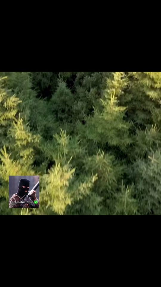 TikTok video thumbnail by mickcollinsofficial
