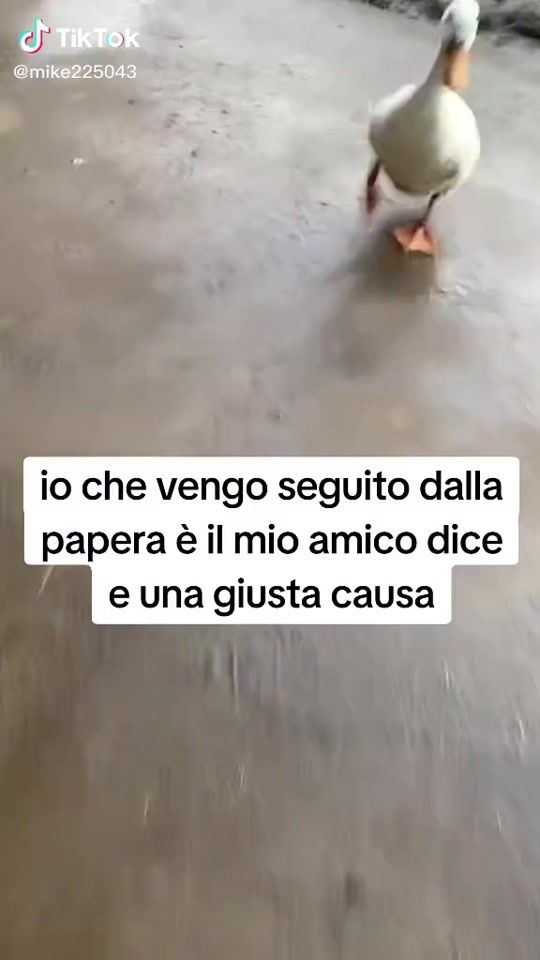 TikTok video thumbnail by gabbo128