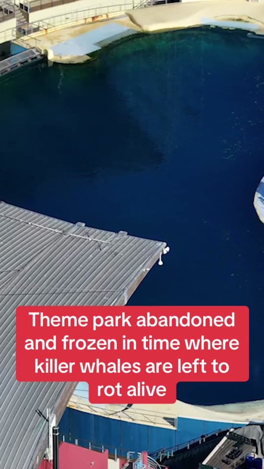 TikTok video thumbnail by dailymirror