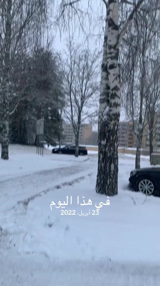 TikTok video thumbnail by amirking515