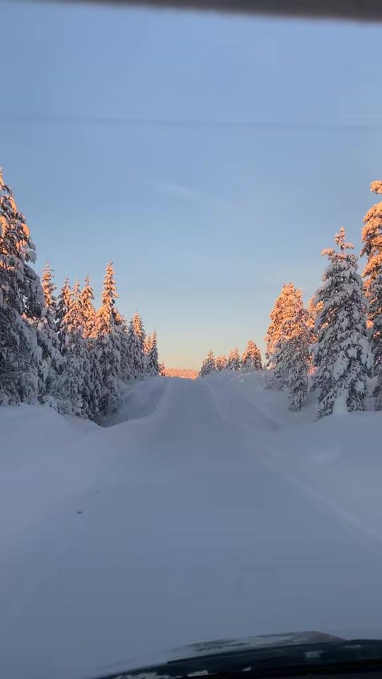 TikTok video thumbnail by tomas19800129