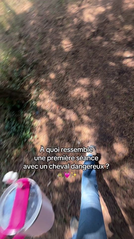 TikTok video thumbnail by bvlhorsetraining