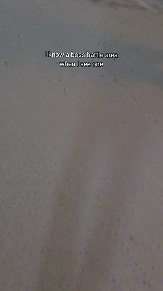 TikTok video thumbnail by romania