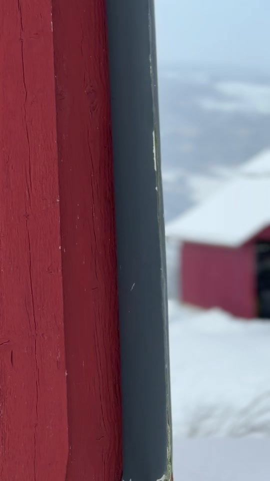 TikTok video thumbnail by noahgalde08
