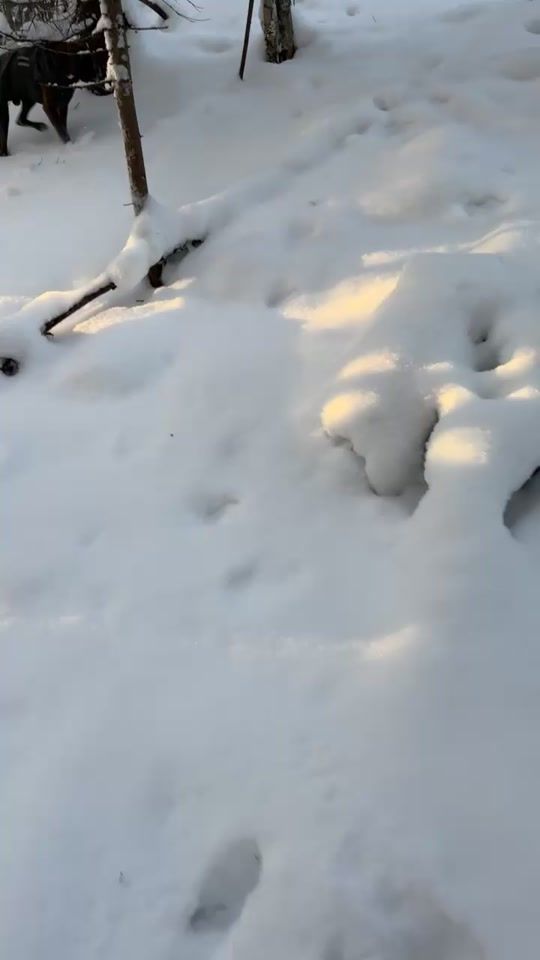 TikTok video thumbnail by maritapedersen4