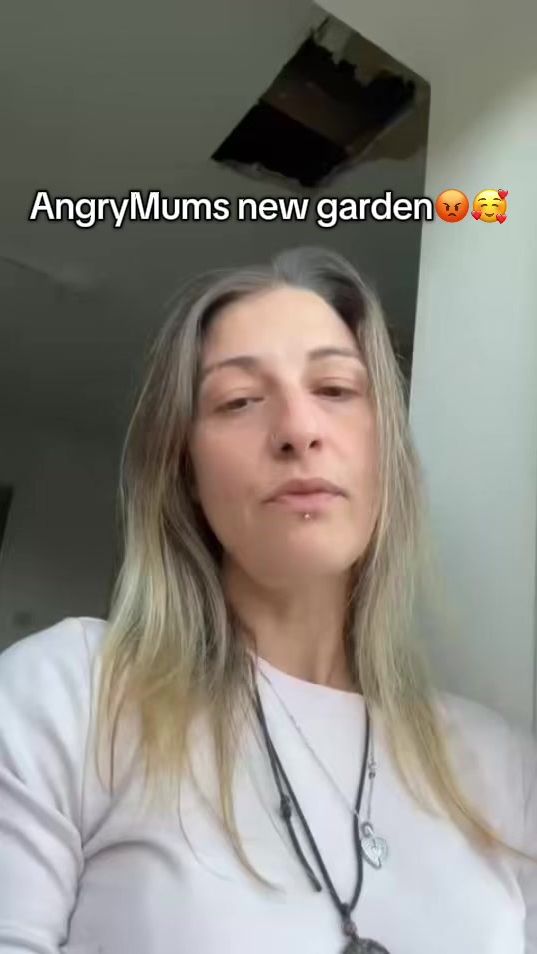 TikTok video thumbnail by angrymum
