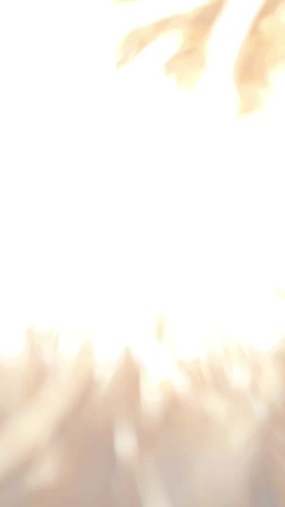 TikTok video thumbnail by zeolyltresse25