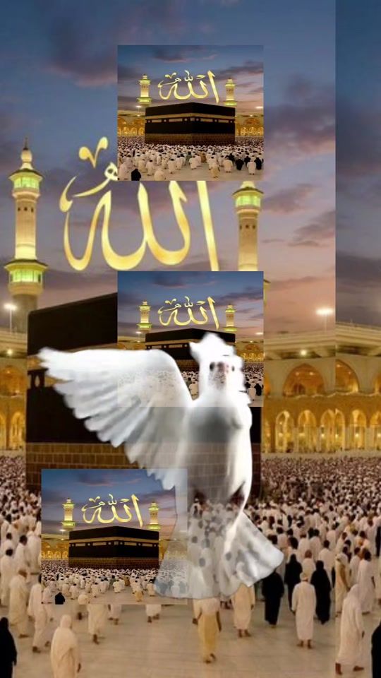 TikTok video thumbnail by arama607