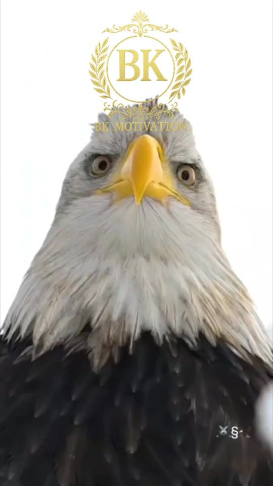 TikTok video thumbnail by bk.motivation4