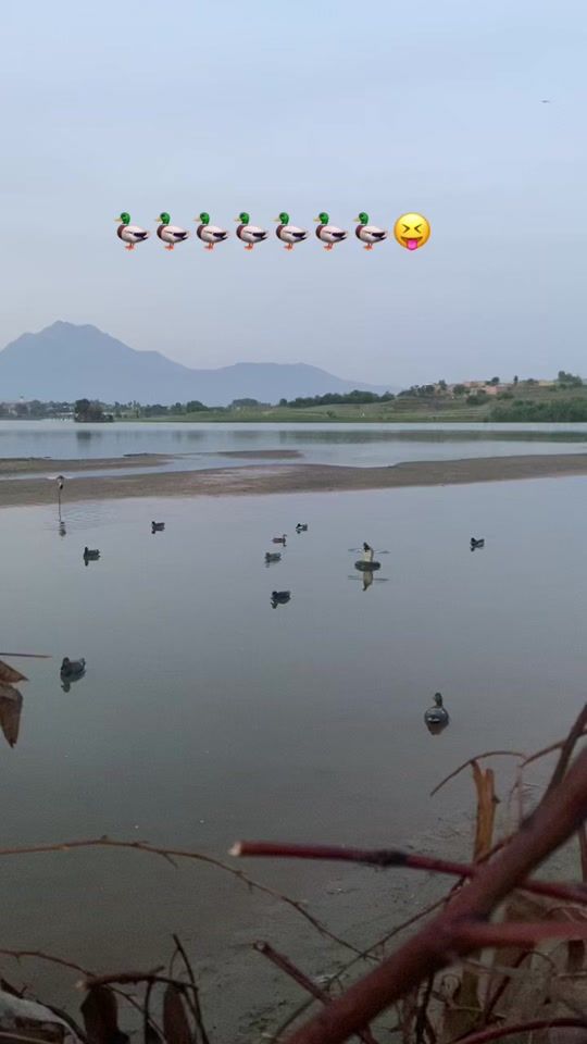 TikTok video thumbnail by sayedejazjan