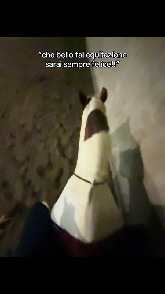 TikTok video thumbnail by ambramonesihr