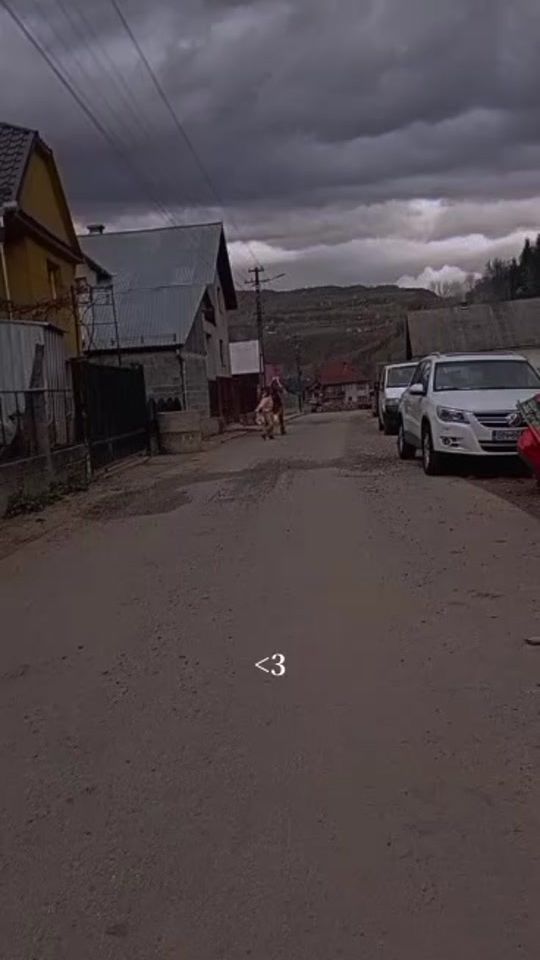 TikTok video thumbnail by burdeti_naomi