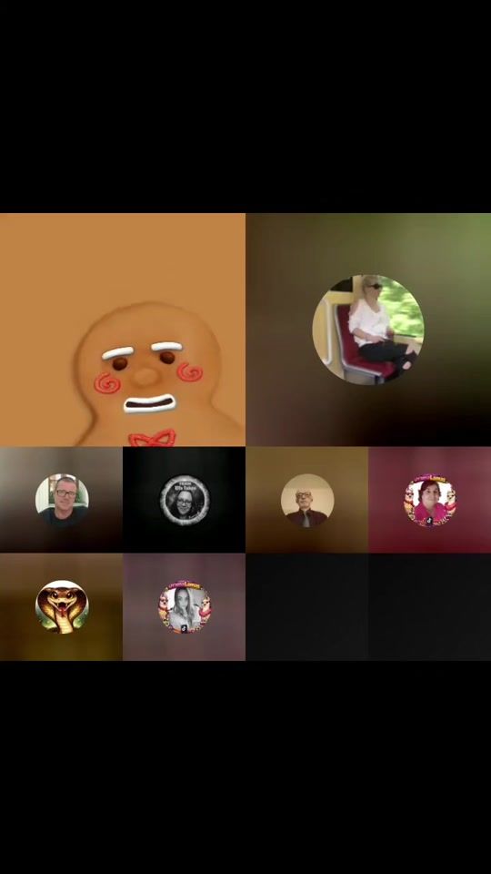 TikTok video thumbnail by sternzeichenloewen