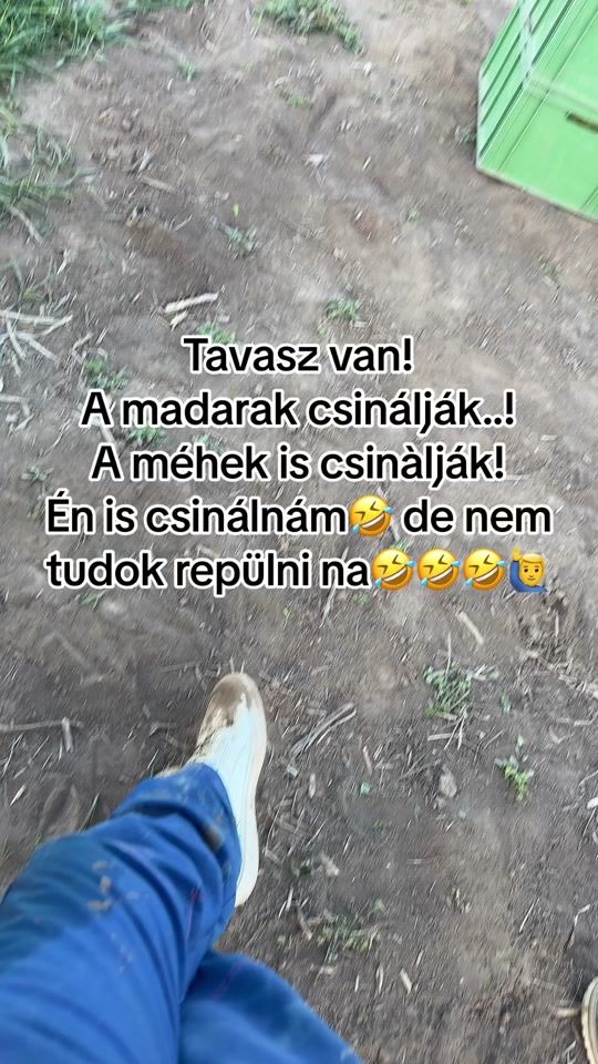 TikTok video thumbnail by urikka_0915