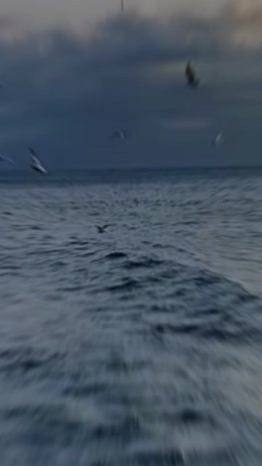 TikTok video thumbnail by alialsray81