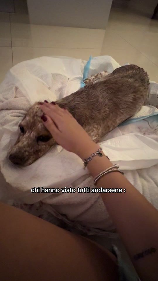 TikTok video thumbnail by aariannatrunce_