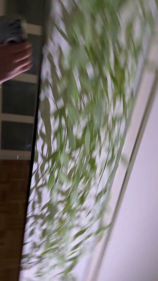 TikTok video thumbnail by nik_.laurent