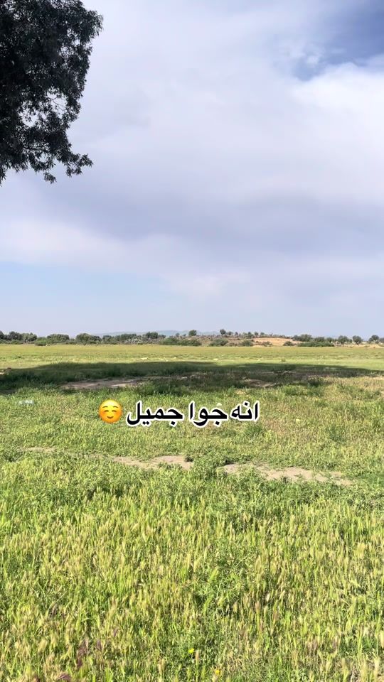 TikTok video thumbnail by yaso_tn